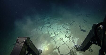 Cientistas registram no Pacífico uma estrada de tijolos amarelos que intriga ao primeiro olhar, mas revela a força da geologia e o quanto ignoramos o fundo do mar