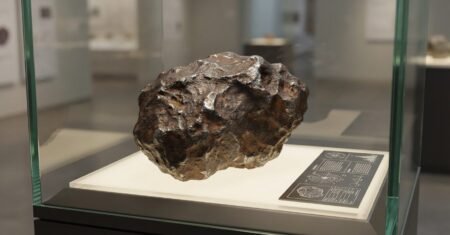 Guardada como pepita por anos, pedra de 17 kg achada em parque histórico perto de Melbourne era meteorito raro, virou peça-chave para entender a origem do sistema solar e vale mais que ouro