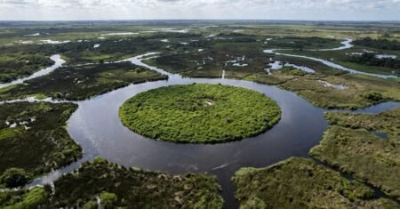 Ilha perfeita que gira sozinha intriga no Delta do Paraná, a 60 km de Buenos Aires, e segue inacessível ao turismo enquanto mitos e ciência disputam explicação