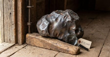 De peso de porta esquecido a achado científico raro, fazendeiro de Michigan descobre que pedra estranha era meteorito de 10 kg e vende por US$ 75 mil