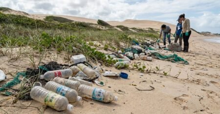 Praia do Segredo em Natal vira cemitério de lixo asiático, caso expõe 140 kg retirados na Bahia e pressiona fiscalização e taxas portuárias no Brasil